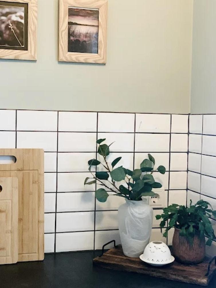 Finnstathir Egilsstaðir Buitenkant foto